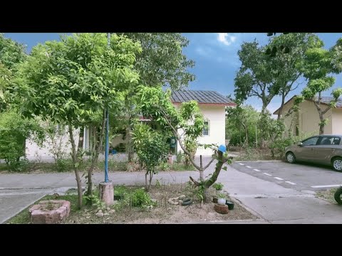 Epic Storm and Powerful Winds: Nature's Fury Unleashed #4k