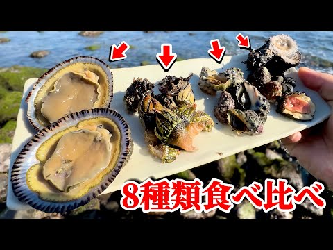 海辺で採れる貝を食べ比べてランキング付してみた