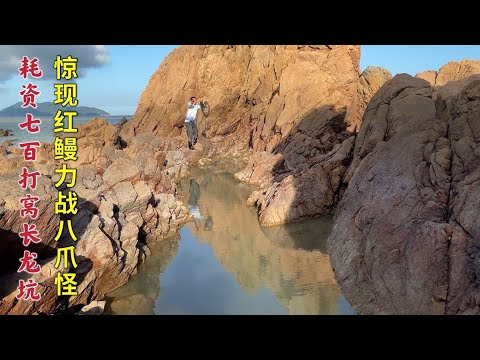 【阿向趕海】耗資700盤老漁民介紹的長坑 紅鰻力戰八爪怪 石斑聚窩大賺三千五