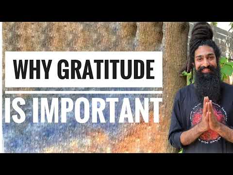 Why Gratitude is so Important