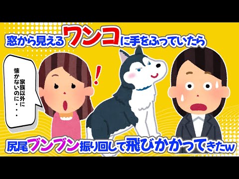 【2chほっこり】窓から見えるワンコに手をふっていたら尻尾ブンブン振り回して飛びかかってきたｗ