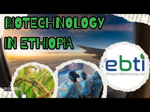 Biotechnology in Ethiopia#Biotechnology #Ethiopia#SustainableDevelopment  #ScienceAndTechnology