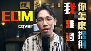 你怎麼捨得我難過 - 吳海文【EDM Cover】原唱: 黃品源