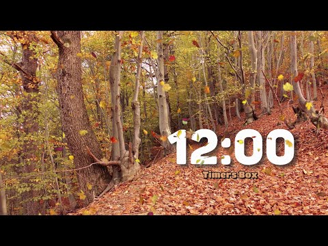 12 Minute Autumn Timer 🍁 Relaxing Fall Ambiance for Study, Break, Stress Relief & Productivity 🍂