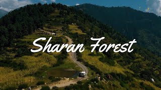 Planning Your Trip To Sharan Forest? Know All The Details