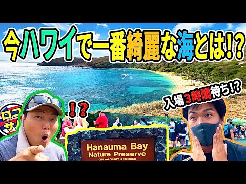 【入場３時間待ち！？】今ハワイで一番話題になっているハナウマベイに行ってきた！