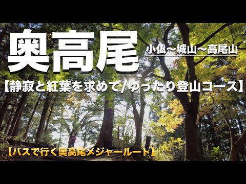 【高尾山】バスで行く！昼から登れる紅葉の奥高尾コース！「人混み登山」さようなら！高尾山表コース登山からのステップアップに！（関東百名山）