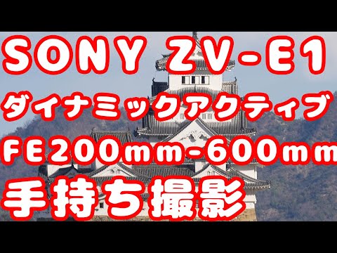 Canon RF200-800mmが届かないということでSONY FE 200-600mmを購入 ZV-E1でダイナミックアクティブの手振れ補正をテスト