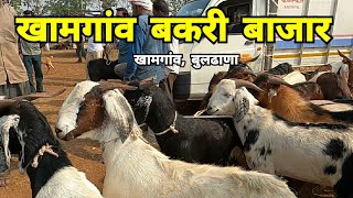 Khamgaon Bakri Bazar | खामगांव बकरी बाजार | Khamgaon | Buldhana | Vidarbha | RJ Dipak