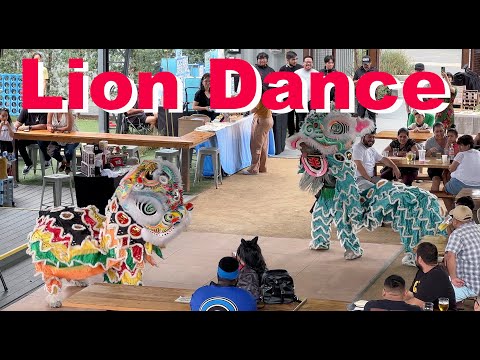 Lion Dance Performance  4K