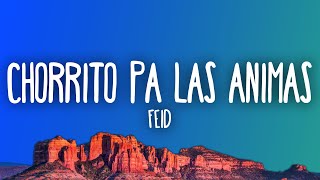 Feid - CHORRITO PA LAS ANIMAS