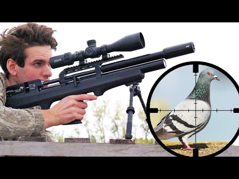 Sniping Pest Birds w/ .22 PCP Air Rifle! (Scope Cam)