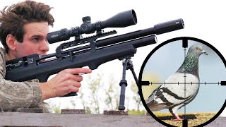 Sniping Pest Birds w/ .22 PCP Air Rifle! (Scope Cam)