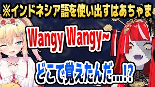 突然インドネシア語を使い始めるはあちゃまに驚くオリー【ホロライブID切り抜き/クレイジー・オリー/赤井はあと/日本語翻訳】