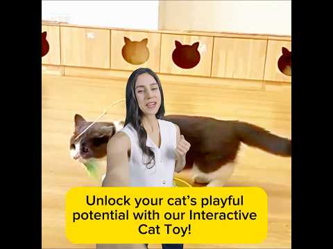 Pet Cat Toy- Engage Your Cat’s Natural Instincts with Fun, Safe & Portable Electronic Play #cattoys