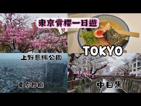 【2024東京旅EP4】東京賞櫻一日遊｜上野恩賜公園櫻花滿開🌸｜不忍池｜中目黑賞櫻｜東京都廳45樓高樓層景觀台｜上野とんかつ山家豬排｜新宿美食AFURI柚鹽拉麵、eggslut漢堡｜東京市區一日遊