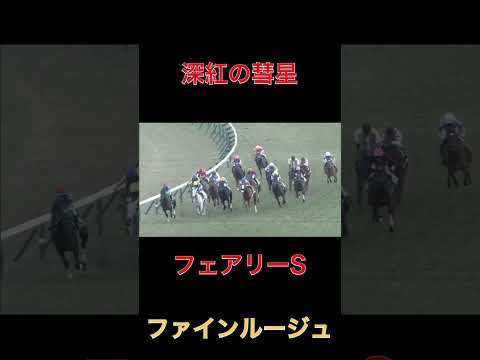 深紅の彗星ファインルージュ【フェアリーS】#競馬#フェアリー