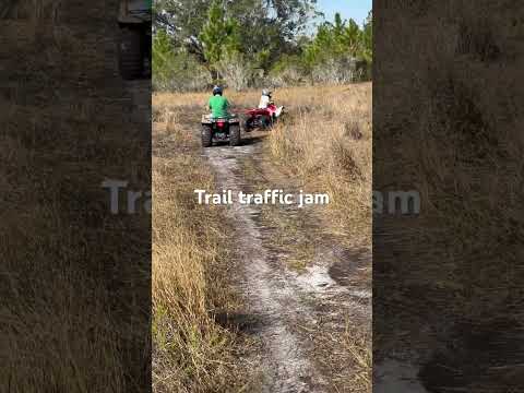 Trail traffic jam #bogging #fyp #atv #mudding #trails #shorts