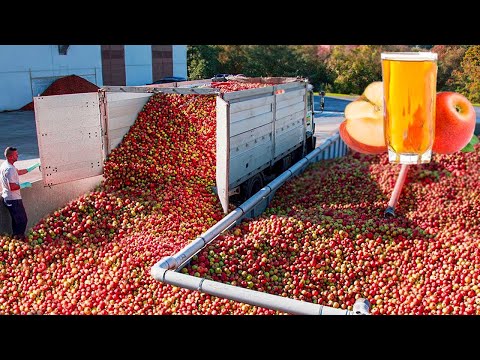 Farmers Use Farming Machines You've Never Seen - Most Advanced Agriculture Machines ▶1