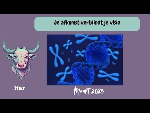 STIER MAART 2025 Je afkomst verblindt je visie