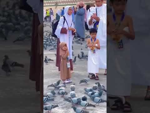 भर दो झोली या मोहम्मद मै न जाऊंगा खाली #viralvideo #sorts #shorts #madina #islam #namaz #allah #hj