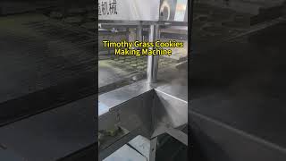 Timothy Grass Cookies Forming Machine#foodmachine #bunnyfood #timothy #grasscookies