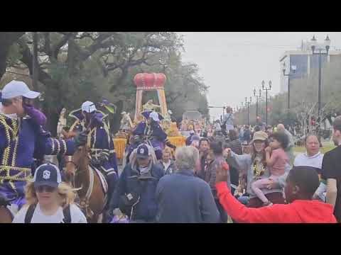 Rex 2025 on Mardi Gras