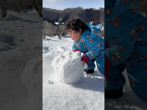 お庭全体が真っ白なキャンバスだ🎨☃️