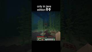 Only in Java edition 💀 #minecraft #minecraftmemes #gaming #memes #minecraftpe #minecraftshorts #fyp