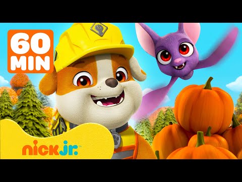 Rubble & Crew | Rubble feiert den Herbst! | mit Motor & Charger | 1 Stunde | Nick Jr. Deutschland