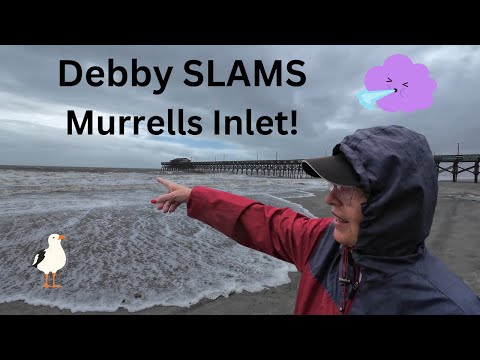 Tropical Storm Debby SLAMS Murrells Inlet! Power Outage! Roof Leak!