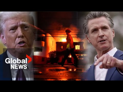 LA wildfires: Trump blames California governor Newsom for catastrophe