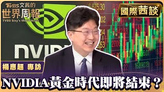 我們進入股災了嗎？ NVIDIA股價劇烈震盪黃金時代將結束？【#國際茜談 #專訪】#陳文茜 #楊應超 @tvbschannel