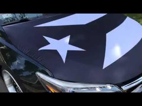 Puerto Rico Car Hood Flags Black And White