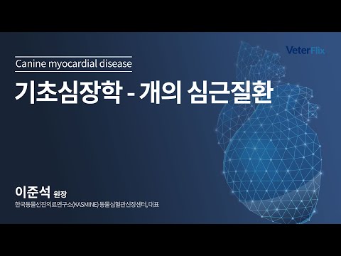 [베터플릭스][기초심장학] 개의 심근질환(Canine myocardial disease)