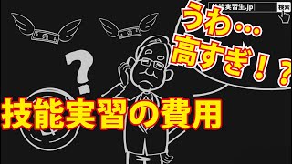 【5分で解説】技能実習の費用篇｜アニメで解説分かりやすい技能実習シリーズ