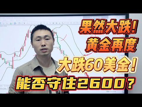 果然大跌！黄金再度大跌60美金！能否守住2600？【外汇交易策略】