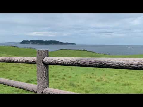 唐津市呼子町加部島杉ノ原放牧場(ツイタ鼻)2019年9月6日～車窓より