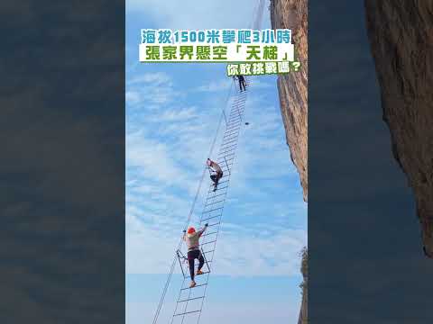 張家界懸空「天梯」，海拔1500米攀爬3小時！#shorts #china #zhangjiajie #travelchina #張家界 #打卡 #中國旅遊 #北上