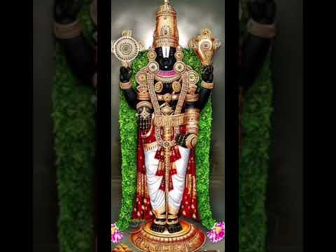 Venkateswara Swamy Govinda Tirumala Tirupati Devasthanams TTD  #ytshorts #tirupati #ttd #short