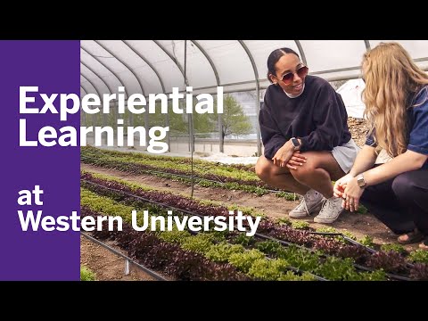 Experiential Learning at Western University