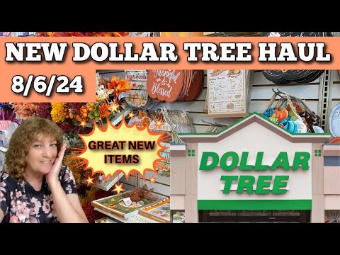 Check Out The Amazing Finds At Dollar Tree On 8/6/24!