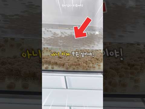 💧물을 만나면 40배 커지는 이것의 정체?!