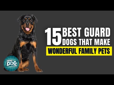 15 Best Guard Dogs That Also Make Wonderful Family Pets