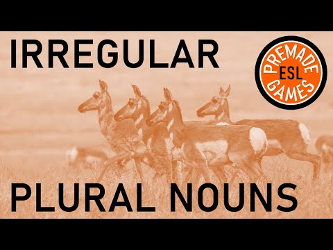 Irregular Plural Nouns English Grammar Quiz