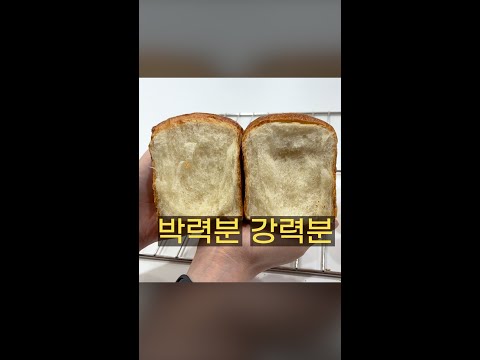 강력분 대신 박력분으로 식빵 만들 수 있나요?