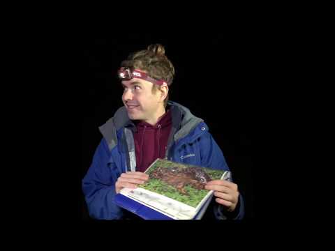 San Mateo Outdoor Education || Catching Salamanders with Scale