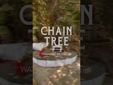 #Mystery of Chained Tree 🌳 #wayanad Karinthandan Story Thamarassery Pass