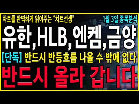 [유한양행 HLB 엔켐 금양 주가 전망] "긴급" 하락은 반드시 멈춥니다. 반드시 반등나오는 타이밍을 잡으셔서 대응전략 준비하세요!! #엔켐주가 #금양 #유한양행