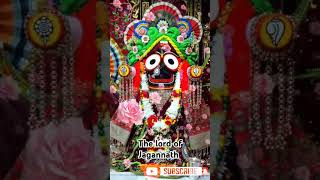 Mo Jaga Khali Re The lord of Jagannath Bhajan 🙏🏻‼️⭕‼️ New song #trending #song #ytshorts  #odisha